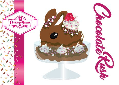 The front of the character card for Chocolate Rush shows the digital artwork. The artwork shows the brown ice cream sundae with pink and purple sprinkles with swirls of whipped cream in the dish. The bunny has raspberries, chocolate glittery drizzle and sprinkles on top near the whipped cream swirl.