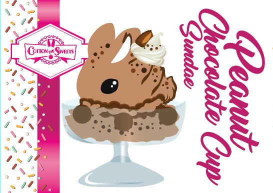 Cute kawaii bunny peanut chocolate cup character card front, which has the digital artwork of the character, the name as Peanut Chocolate Cup Sundae, with the cotton tail sweets logo. The artwork shows the peanut chocolate cup resin ice cream sundae with orange and white sprinkles in the dish. Chocolate drizzle and cups are on the top of the resin ice cream bunny, and a swirl whipped cream on top.