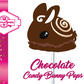 Chocolate with Spiral Candy Bunny Pop