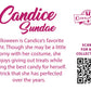 The back of the character card reads Candice Sundae, Halloween is Candice’s favorite night. Though she may be a little corny with her costume, she enjoys giving out treats while saving the best candy for herself. A trick that she has perfected over the years. A QR code is available to be scanned for more collectibles as well as the cotton tails logo.