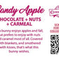 The back of the character card reads: Candy Apple Chocolate + Caramel + Nuts, This bunny enjoys apples and fall, but prefers to enjoy with nuts, and caramel most of all. Covered with blankets, and smothered with kisses, that's what this bunny wishes.