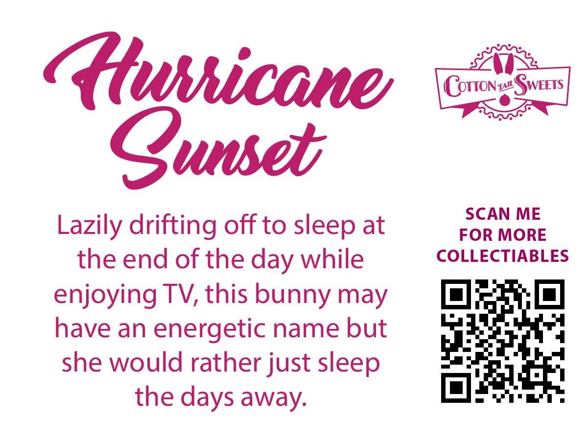 The back of the character reads Hurricane Sunset, Lazily drifting off to sleep at the end of the day while enjoying TV, this bunny may have an energetic name but she would rather just sleep the days away.