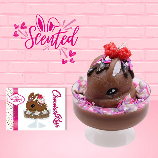 Cute kawaii bunny Chocolate Rush brown ice cream sundae with pink and purple sprinkles with swirls of whipped cream in the dish. The bunny has raspberries, chocolate glittery drizzle and sprinkles on top near the whipped cream swirl. The front of the character card is shown and the word scented.