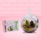 The front of the character card is shown, with the digital artwork showing the bunny in a terrarium with moss and a tombstone.
